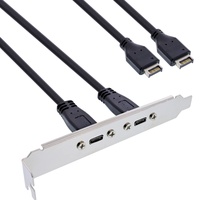 InLine Slotblende 2x USB-C 3.1 50cm (33446K)