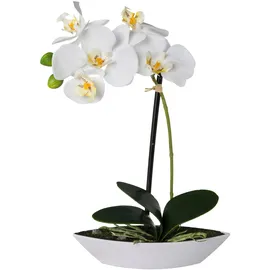 Creativ green Kunstorchidee CREATIV GREEN "Phalaenopsis", weiß, B:6,5cm H:30cm L:19,5cm, Kunststoff, Kunstpflanzen, 2er Set, in Kunststoffschale