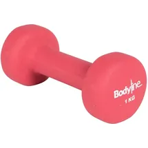Bodyline Hantel aus Gusseisen Neopren Einzelhantel 1 kg grün / pink
