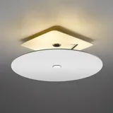 Oligo Beamy Up Deckenleuchte LED, weiß