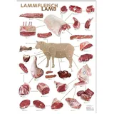 Küchenposter Lamm (59,4 x 84cm), alles Wichtige auf einen Blick, 1 Stück