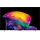 LG OLED42C64LA 42" 4K UltraHD OLED Smart TV