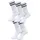 URBAN CLASSICS Doppelstreifen-Socken 5er Pack Schwarz/Weiß 39-42