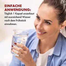 circulaxil Kapseln - Qualität aus Deutschland - geeignet für Männer und Frauen | 90 Kapseln Inhalt (1x)