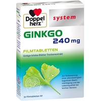 Queisser Doppelherz Ginkgo 240 mg system