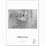 Hahnemühle William Turner A3 25 Blatt