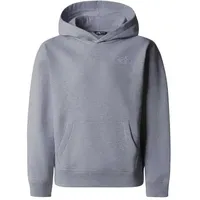 The North Face Kinder Teen Essential Oversized Hoodie (Größe M, grau)