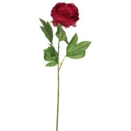 Mica decorations - Mica Künstliche Pfingstrose Dunkelrosa 76 Cm Kunstpflanzen