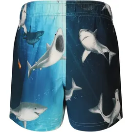 ZigZag Sealife Boardshorts Mehrfarbig 104