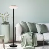 Paul Neuhaus Q-Etienne Stehleuchte mit Dimmer und CCT, 271-18,
