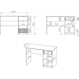 Feldmann-Wohnen Schreibtisch Torino Computertisch 120x55x79cm weiß Eiche Castello graphit 1-türig - Weiß