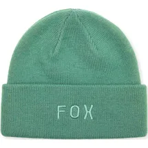 Fox Wordmark Beanie Grün/Blau
