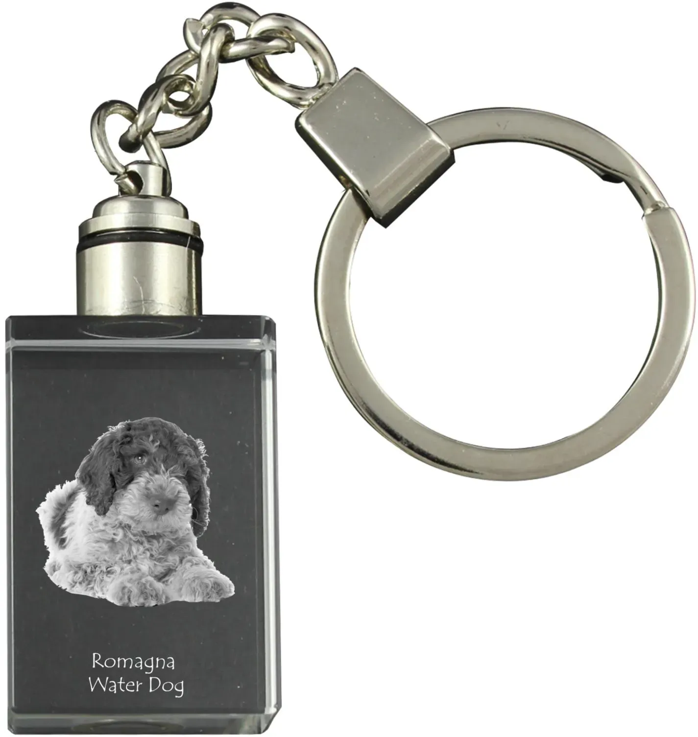 Romagna Water Dog - Crystal key ring with dog photo, illuminated key ring, unique gift by Art-Dog brand