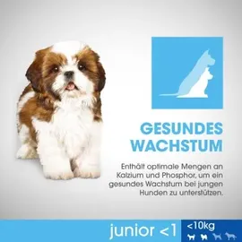 PERFECT FIT Junior mit Huhn für kleine Hunde 6 kg