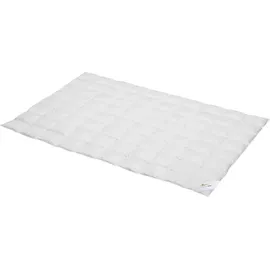 BettwarenShop Daunen Sommerdecke Premium leicht, Füllung: 90% Daunen, 10% Federn 200x210 cm