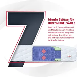 Fdm 7-Zonen Kaltschaum 90 x 200 cm H4