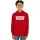 Levi's Levi ́s ® Kids Batwing Screenprint Kapuzenpullover - Levis Red White 14 Jahre