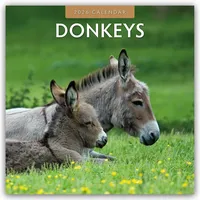 Brown trout-auslieferer flechsig Donkeys - Esel 2026 - 16-Monatskalender
