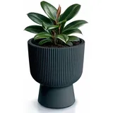 Prosperplast Milly Ø 29,8 x 36,5 cm Grau