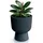 Prosperplast Milly Ø 29,8 x 36,5 cm Grau