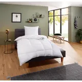 fan Microfaserbettdecke Komfort Plus Warm, Bettdecken für den Winter, Made in Germany, Decke, Füllung: 100% Polyester, Bezug: 100% Polyester, Extrawarm für den "Frierer", 135x200, 155x220 cm und weitere Größen weiß 155 cm x 220 cm