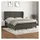 vidaXL Boxspringbett mit Matratze Dunkelgrau 180x200 cm Samt