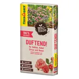 Floragard Bio-Erde Duftend 40 l braun