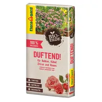 Floragard Bio-Erde Duftend 40 l braun