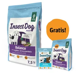 GREEN PETFOOD InsectDog Balance 7,5kg + 900g & Denties 180g GRATIS!!