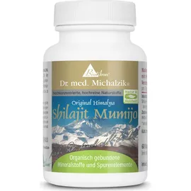 Biotikon Mumijo Shilajit Kapseln 60 St.