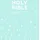 Hodder & Stoughton NIV Pocket Mint Soft-tone Bible with Zip