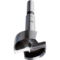 Fisch Tools Forstnerbohrer Din7483 g 10x60/90 mm S 6