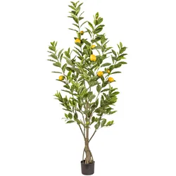 Kunstbaum CREATIV GREEN "Zitrone", grün, H:180cm, Kunststoff, Kunstpflanzen, mit detailgetreuer Gestaltung