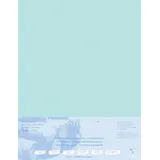 Clairefontaine Papier für Pastellmalerei 5 Bogen 50x70cm Hellblau