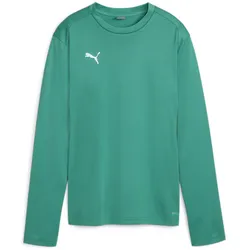 PUMA teamGOAL Trainings-Sweatshirt Damen 05 - sport green/power green/puma white M