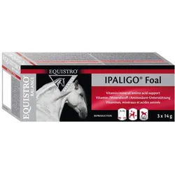 EQUISTRO Ipaligo Foal Erg.Futterm.Paste f.Pferde 3X14 g
