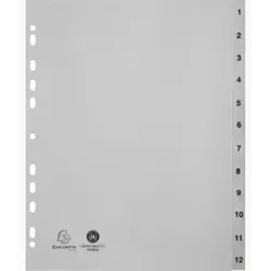 Exacompta 2912E, Grau, Polypropylen (PP), A4
