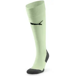 Puma Team Liga Socks Core fresh mint (60) 1