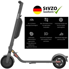 Segway Ninebot E45D E-Scooter (9 Zoll, Grau)