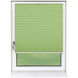 deco-raum Plissee Basic 105 x 150 cm Grün