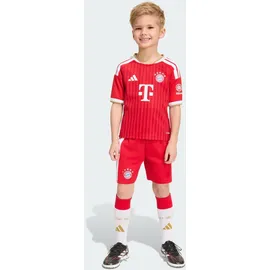 adidas FC Bayern München Minikit 2026/27 rot Kinder Gr. 92