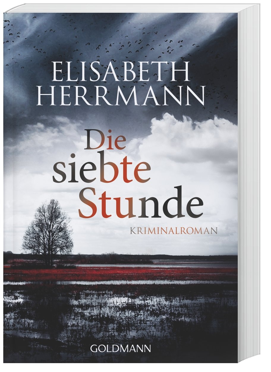 Die Siebte Stunde / Joachim Vernau Bd.2 - Elisabeth Herrmann  Taschenbuch