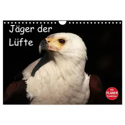 Jäger der Lüfte (Wandkalender 2025 DIN A4 quer), CALVENDO Monatskalender