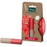 Kneipp Pflege & Farbe (3,5g)