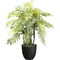 Kunstpflanze CREATIV GREEN "Farnpflanze", grün, H:60cm, Kunstpflanzen, mit Deko-Kies