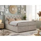 MKS Meble Boxspringbett 200 x 200 cm H4 Beige