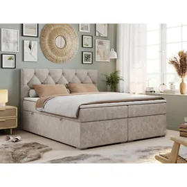 MKS Meble Boxspringbett 200 x 200 cm H4 Beige