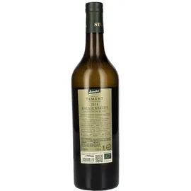 Tement Sauvignon Blanc Kalk & Kreide DAC 2025 12 x 0,75 l