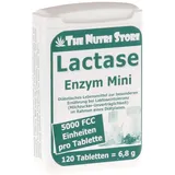 Hirundo Products Lactase 5.000 FCC Enzym Mini Tabletten 120 St.
