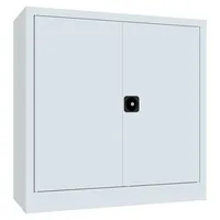 Stier Flügeltürenschrank Zink 1000x1000x400 mm RAL 7035